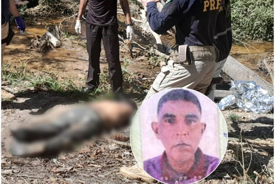 F4TAL: Motorista morre após pneu estourar e caminhão bater contra árvore