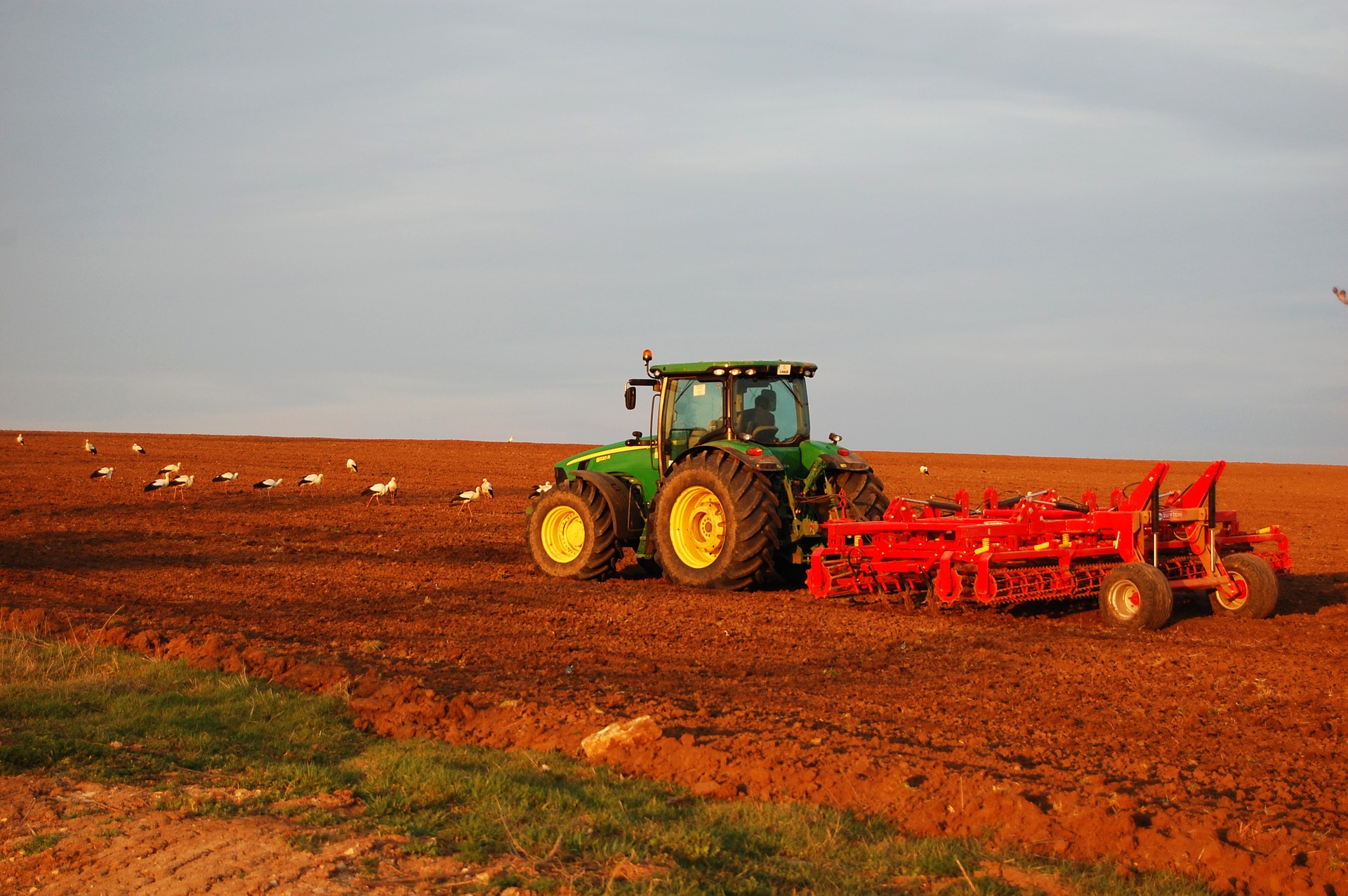 FORTALECIMENTO: Veja cinco previsões otimistas para o agronegócio brasileiro em 2020