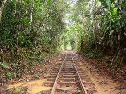 Trecho do cenário natural de ?Mad Maria? será reconstruído para turismo - Veja Fotos