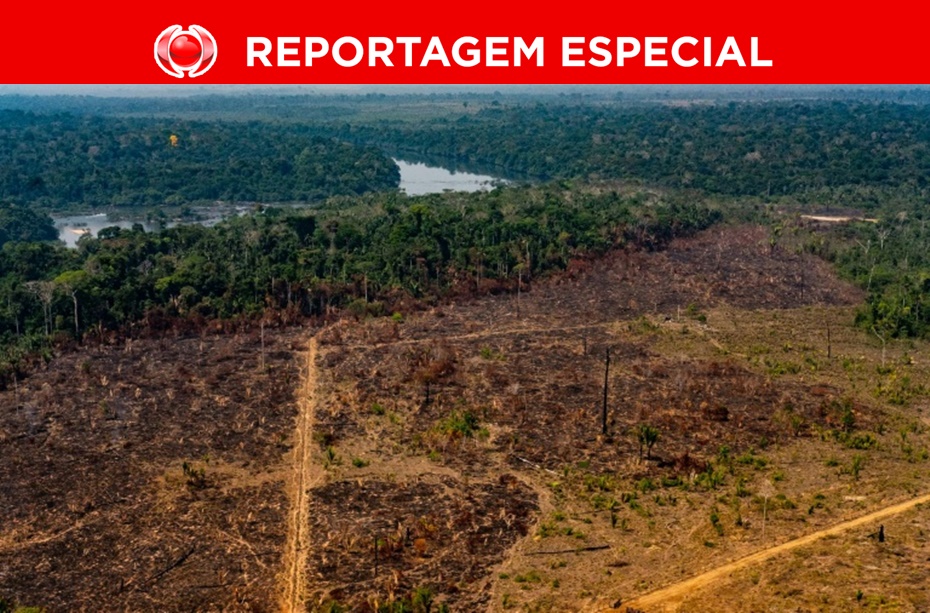 DESMATAMENTO: Novos vírus podem infectar humanos que invadem áreas na Amazônia 