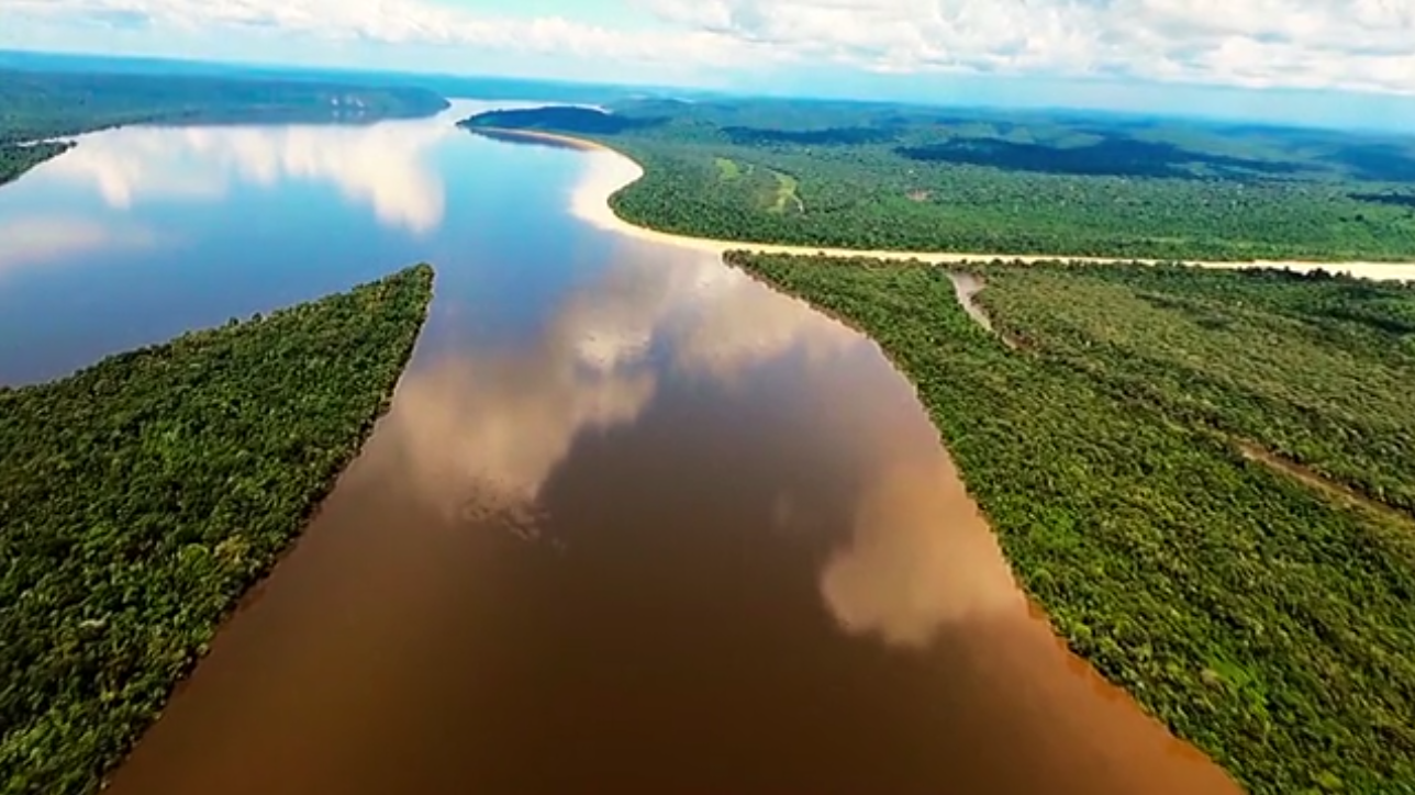 DOCUMENTÁRIO: Série 'Amazônia, do Macro ao Micro' estreia neste domingo na TV Cultura