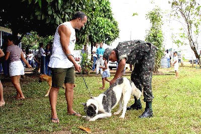 Vacinação anti-rábica em Porto Velho é neste sábado