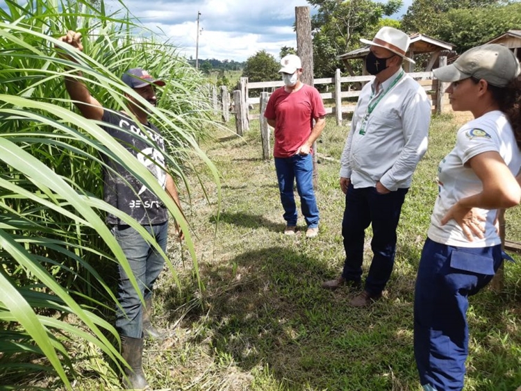 APOIO: Servidores da Emater terão direito a auxílio-alimentação em 2022