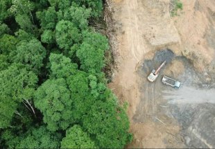 IMPACTO: Desmatamento altera clima regional da Amazônia e reduz chuvas na estação seca