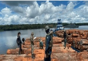 RASTREABILIDADE: Estudo aponta caminho para combater produtos ilegais na Amazônia