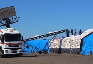 CADEIA PRODUTIVA: Rondônia cresce 366% em 30 anos e supera média econômica do Brasil