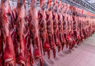 NOVO MERCADO: Vietnã aprova dois frigoríficos de Rondônia para exportação de carne bovina 