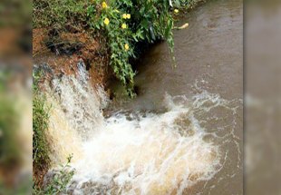 BEM COMUM: Dia Mundial da Água destaca projetos de recuperação de nascentes em Rondônia