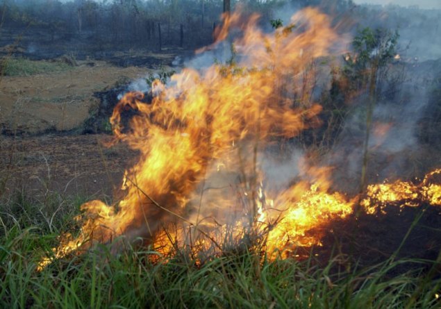 RESULTADO: Internautas dizem que Sedam deve intensificar fiscalização sobre uso de fogo