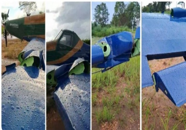 COLORADO DO OESTE: Avião colide com árvore após piloto desviar de cães na pista