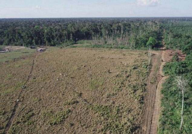 BUROCRACIA: Demora em processo ameaça produtor rural em Rondônia mesmo após regularização