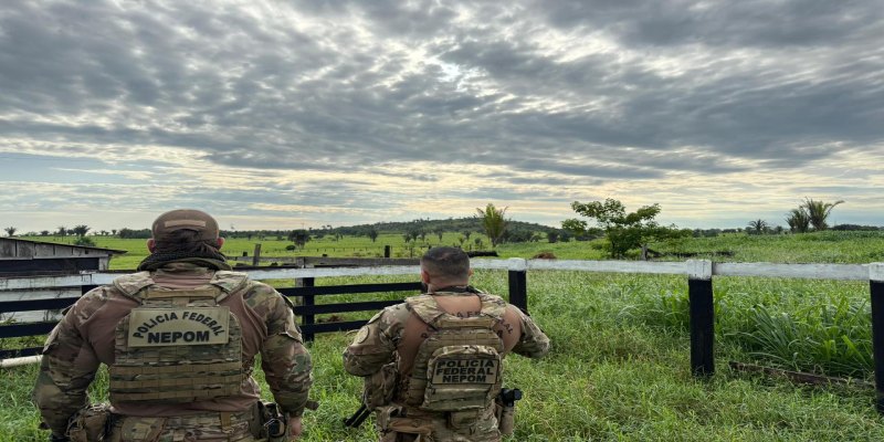 LAGE EM CHAMAS: PF faz operação contra grilagem e incêndio criminoso em terra indígena