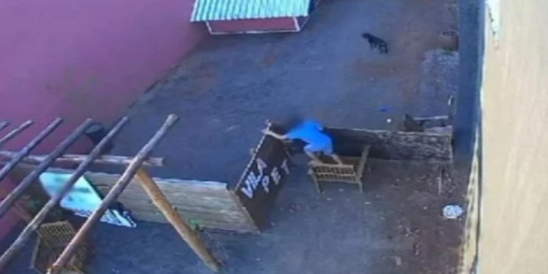 CRUEL: Criança de 9 anos invade hospital veterinário, maltrata e mata 23 animais