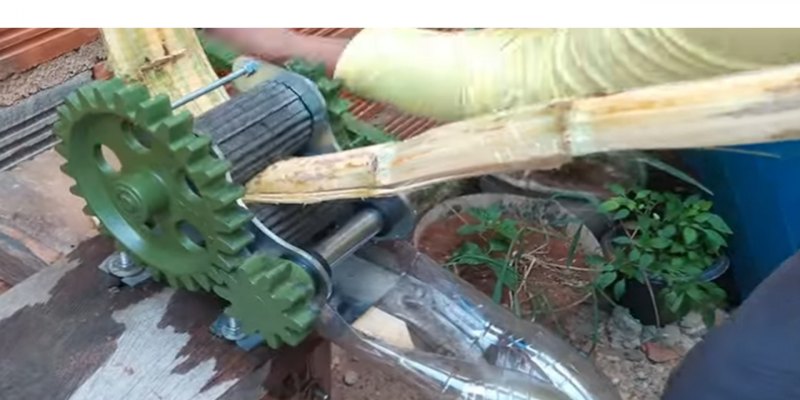 ATENÇÃO: Doença de Chagas pode estar no seu copo de alimento preferido 