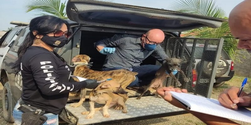 MAUS TRATOS: Polícia Civil resgata 30 animais em situação precária 