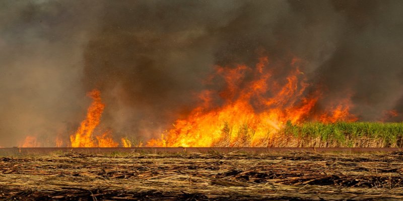 MONITORAMENTO: Alertas de incêndio até a metade de setembro dobraram