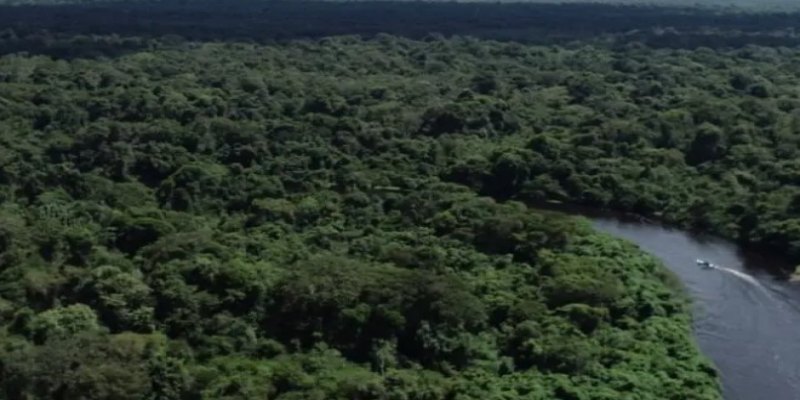 MEIO AMBIENTE: Governo de RO registra queda de 34,9% no desmatamento