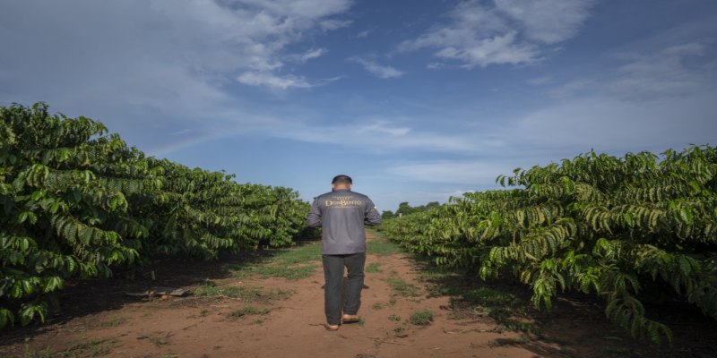EM RO: Agricultores familiares apontam caminhos para produção sustentável de alimentos