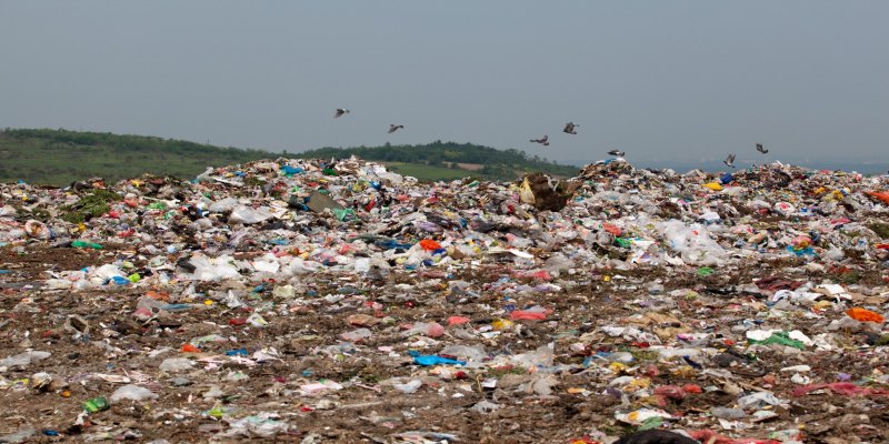 MÊS DO MEIO AMBIENTE: Guajará-Mirim e Nova Mamoré enfrentam desafios na gestão de resíduos sólidos