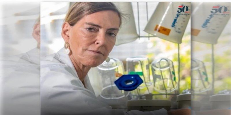 DE VOLTA A VIDA: Cientista brasileira devolve movimentos a tetraplégicos com terapia inédita