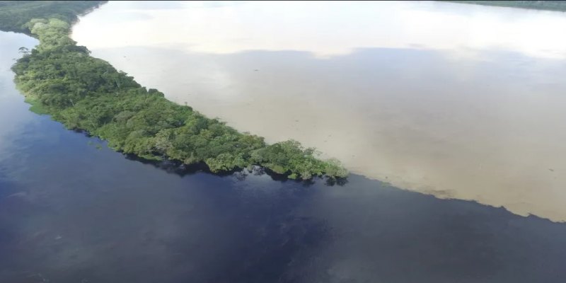 Guajará-Mirim entre os rios e o esquecimento da classe política - Por Arimar Souza de Sá