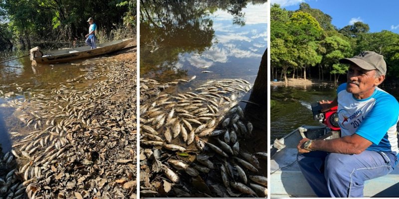 RESERVA DO CUNIÃ: Choque térmico por friagem mata peixes e ameaça sustento de famílias ribeirinhas