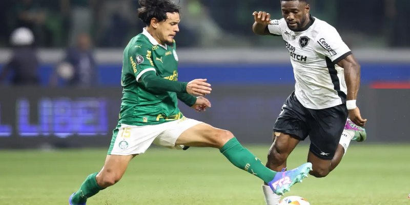 BRASILEIRÃO 2024: Palmeiras e Botafogo jogam por liderança do Campeonato Brasileiro 